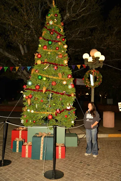 DSC_5638 (Large).JPG